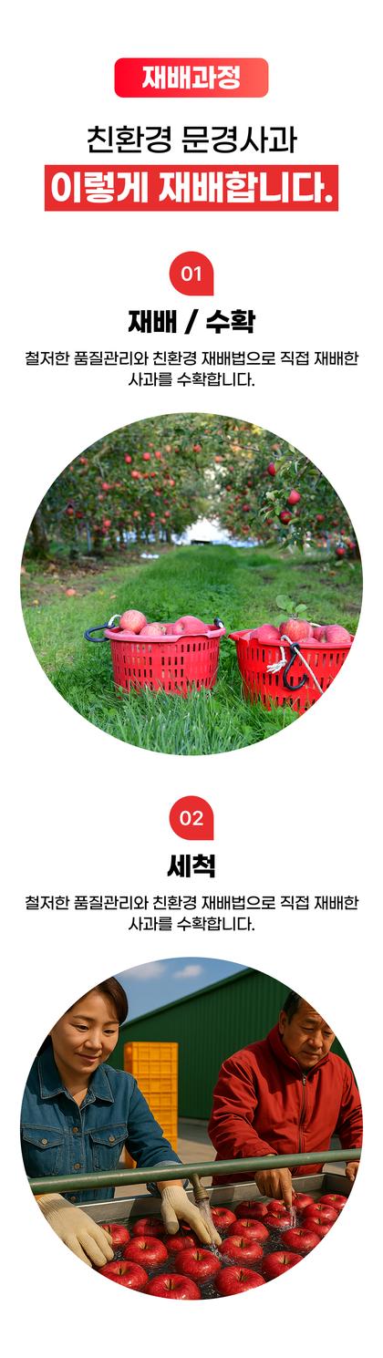 07_재배과정 생산과정_08.jpg